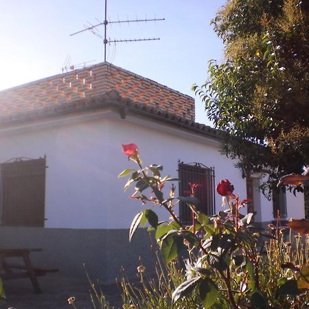 Casa Los Olivos Grávalos Екстериор снимка